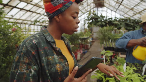 Mujer-Afroamericana-Usando-Tableta-En-El-Trabajo-En-Invernadero