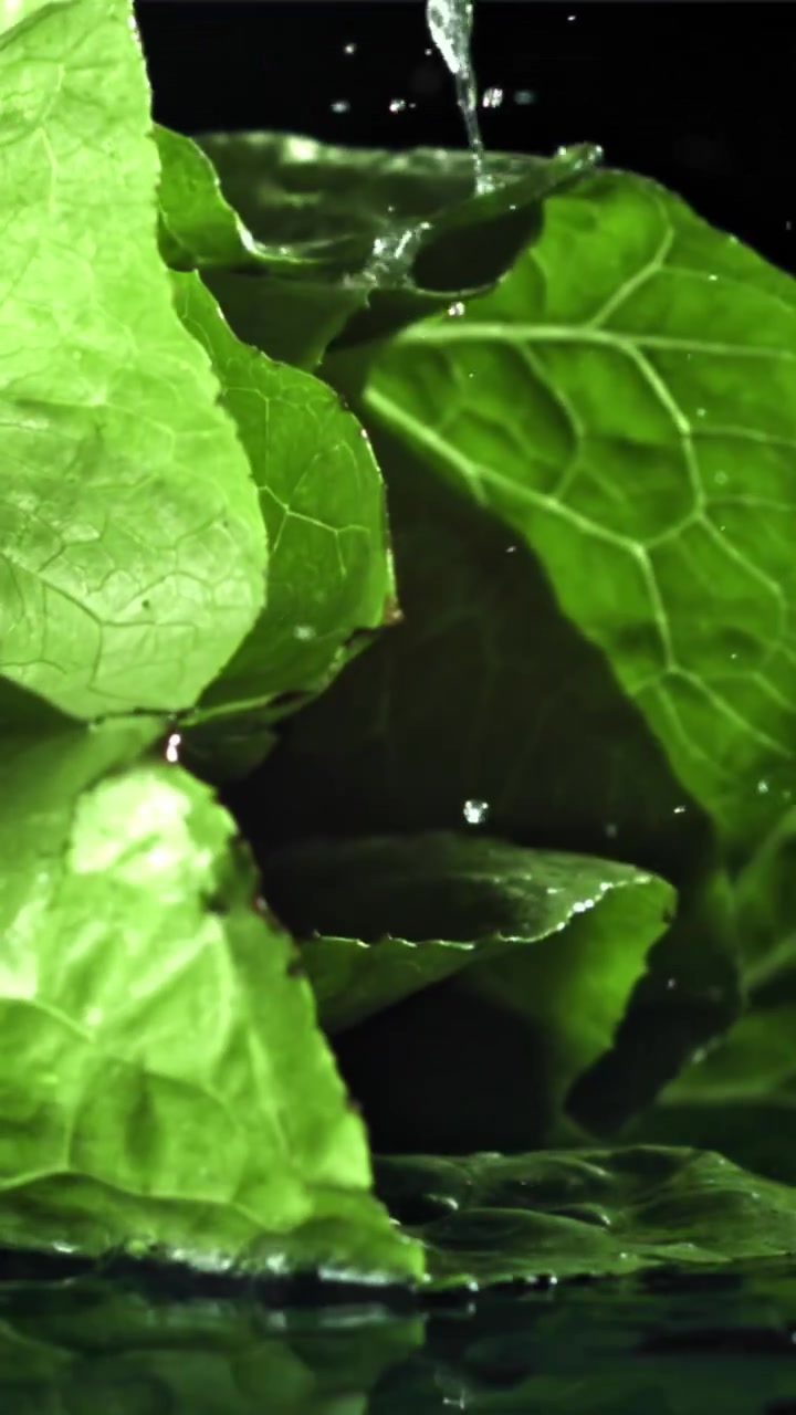 Foglie verdi fresche che cadono nell'acqua con schizzi al rallentatore