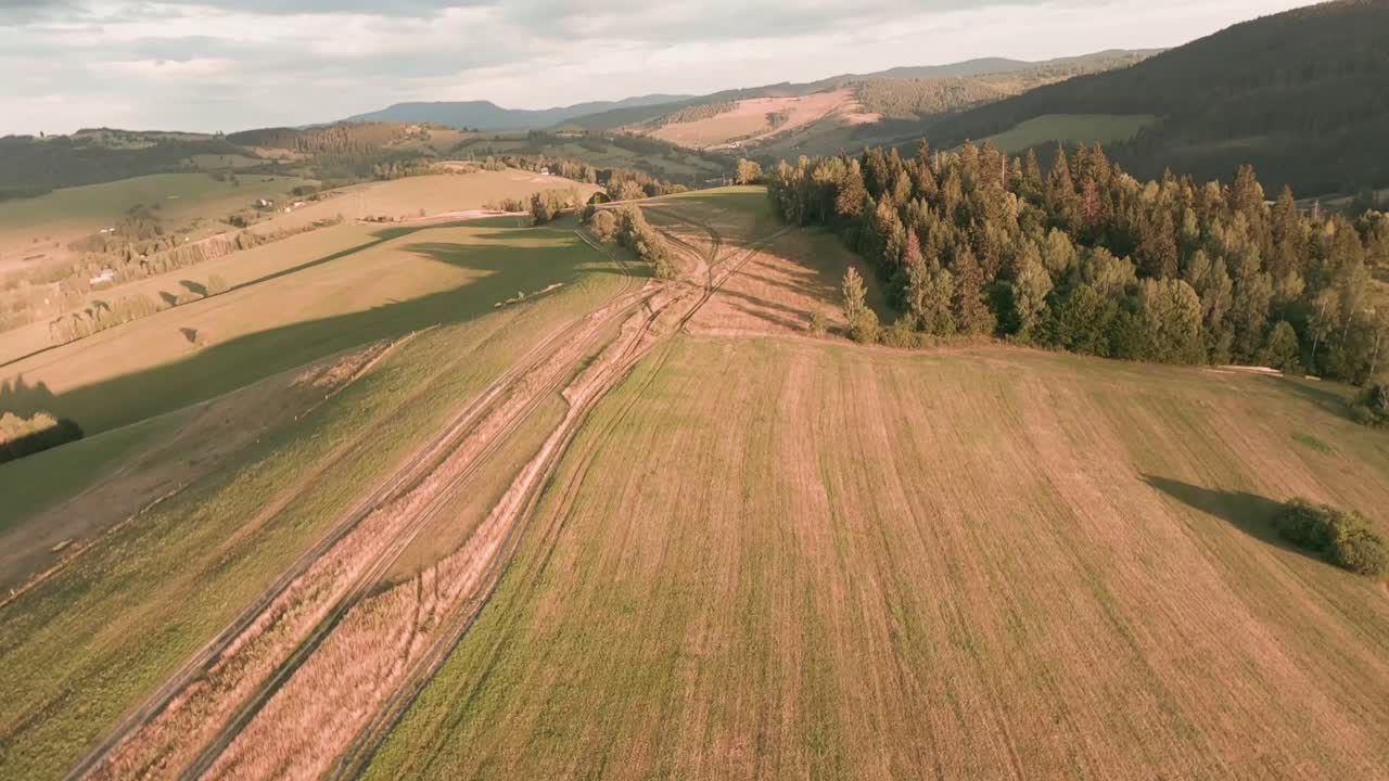 나무가 긴 그림자를 드리우는 아름답게 햇빛이 비치는 산의 경치에서 비포장 도로를 따라가는 레이싱 드론의 항공 영상