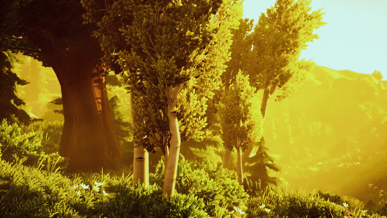 황금색  ⁇ 빛으로 백라이트 된 만화 숲 나무