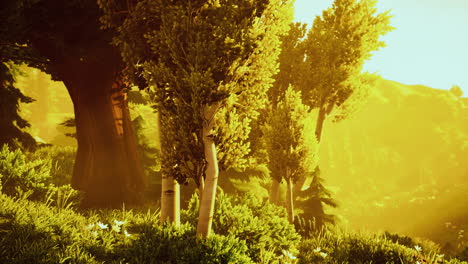 cartoon wooded forest trees backlit by golden sunlight