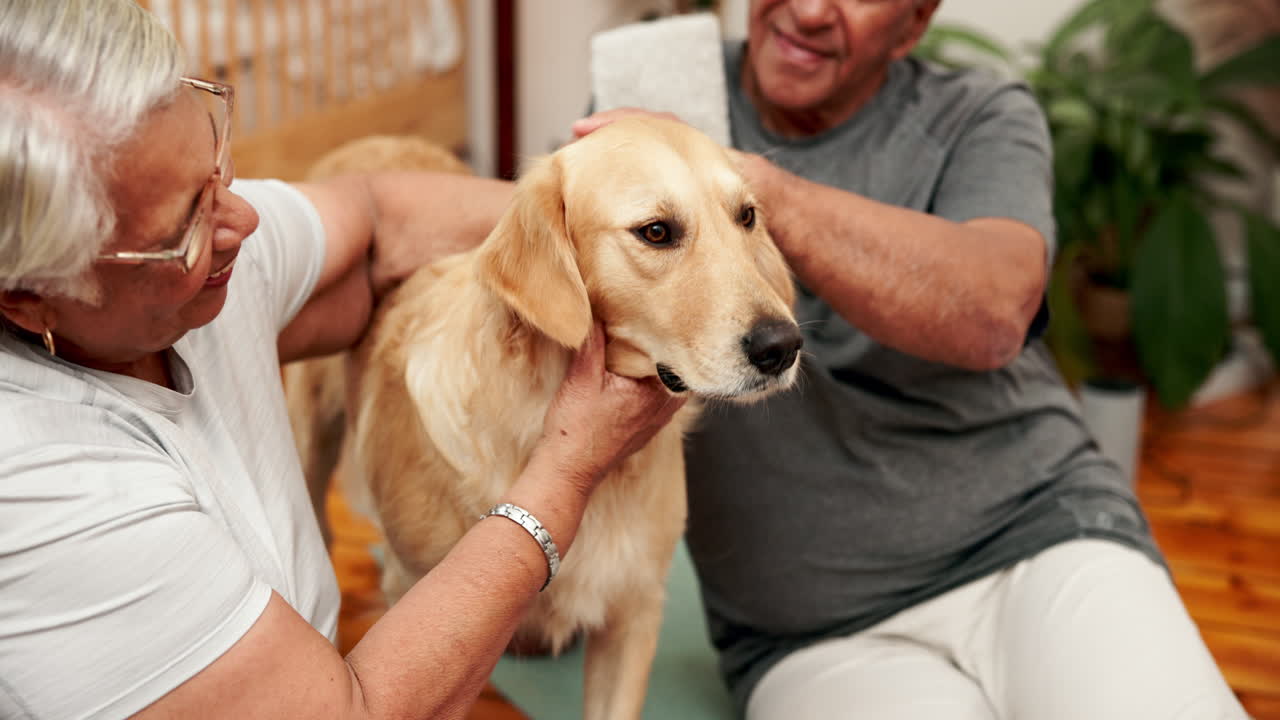 Senior couple bonding with their golden retriever at home