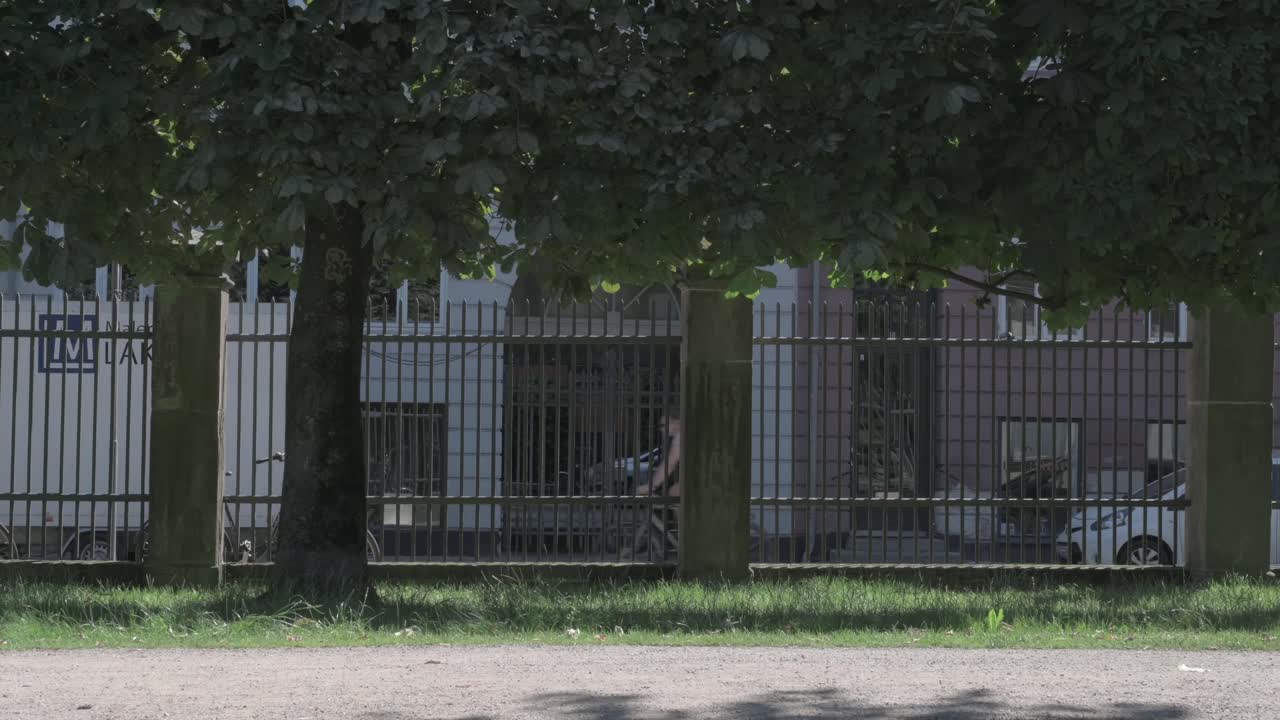 Scene looking to the street, through some trees over a gravel path, and behind all that a cyclist passes from right to left of the frame.