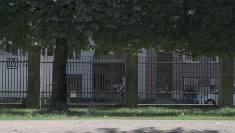 scene looking to the street, through some trees over a gravel path, and behind all that a cyclist passes from right to left of the frame.
