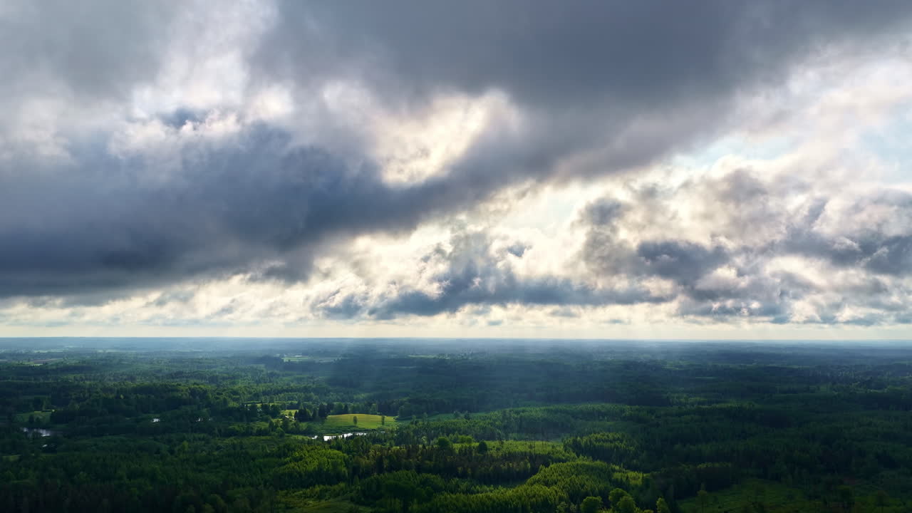 Lush green forest landscape with dramatic clouds and sunlight breaking through