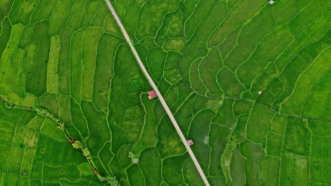 Mahabang Tanaw is revealed from above, its serene environment a testament to Quezon's untouched beauty and agricultural richness