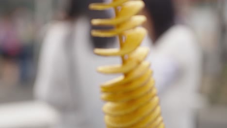 close up shot of fried potato twister on skewer - popular fast food