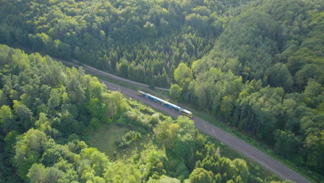 tren eléctrico de pasajeros sobre vías férreas en medio del bosque