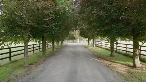 Zu-Fuß-Auf-Einer-Einfahrt-Oder-Einem-Weg-In-Richtung-Einer-Irischen-Farm