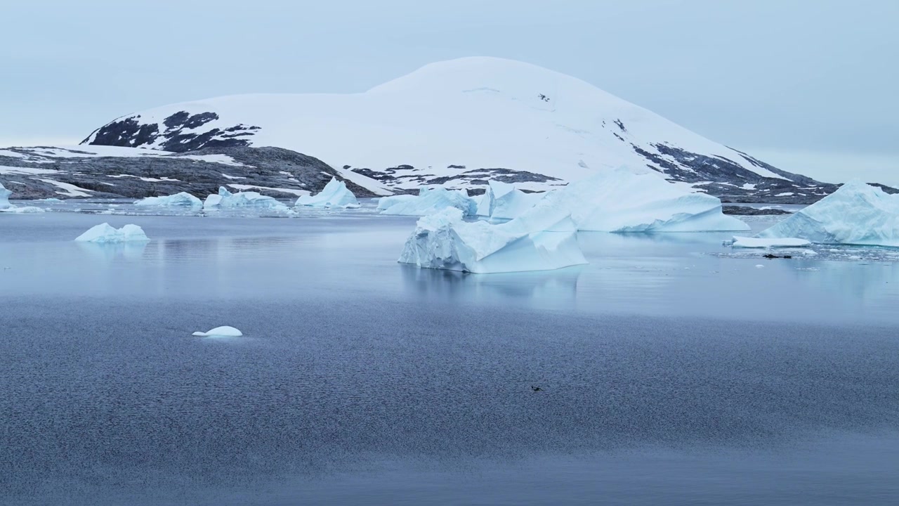 Slow Motion Shot of Seabirds Flying in Antarctica Landscape, Birds in Flight Flying Past Icebergs in Winter Scenery with Amazing Beautiful Dramatic Ice Covered and Snowy Snow Covered Scene