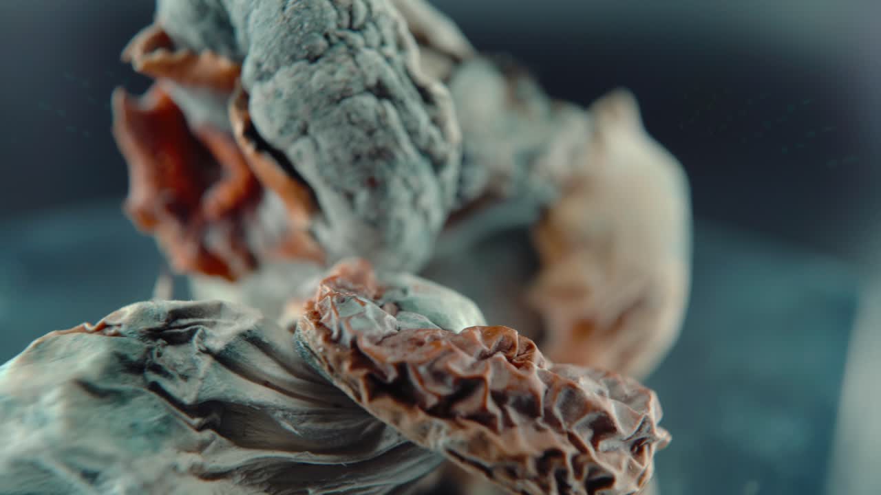A Macro cinematic shot of a magical psychoactive psilocybin hallucination dried mushroom with a yellow red cap, on a rotating 360 reflecting stand, professional studio lighting, 4K video