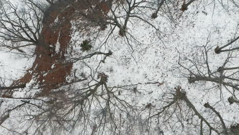 aerial shot of empty winter forest on the shores of a frozen snow covered lake