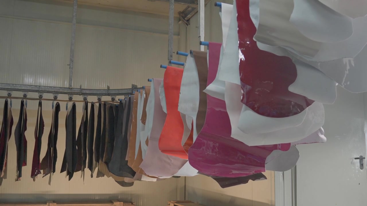 Colourful Leather Animal Hides Hanging On A Automated Drying Rack After Tanning Process During Production.