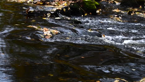 Imágenes-En-Cámara-Lenta-De-Rocas-En-Un-Rápido-En-Otoño