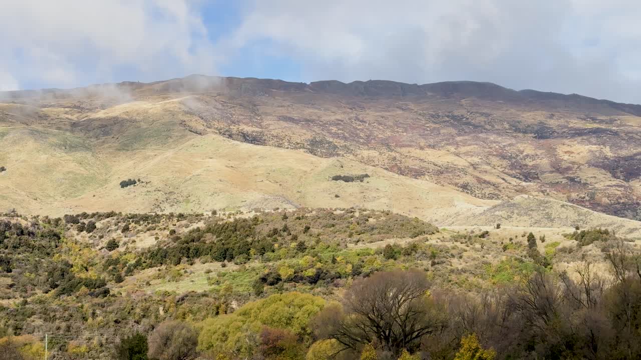 A serene drive showcasing Wanaka's picturesque landscape with rolling hills and lush greenery under soft natural lighting