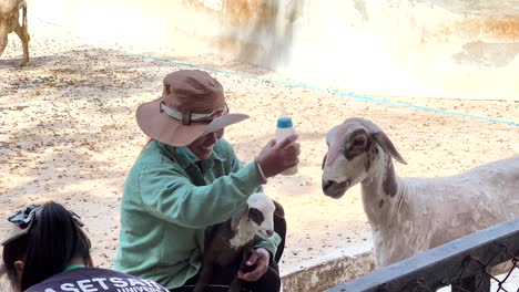 zookeepers feeding baby sheep