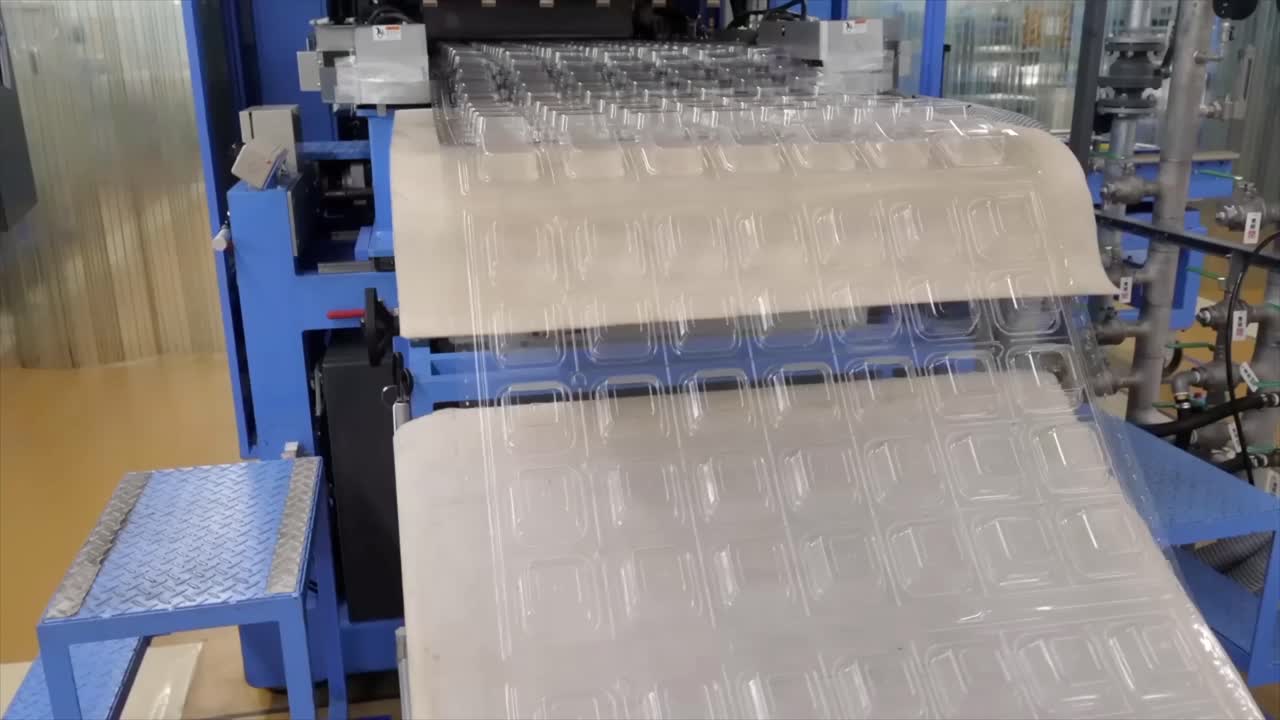 Plastic Tray Manufacturing Process in a Factory