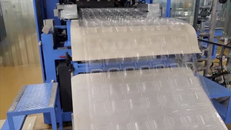 plastic tray manufacturing process in a factory