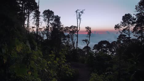 El-Sol-Se-Pone-En-Un-Bosque-De-Montaña-Por-Encima-De-Las-Nubes-En-Oaxaca,-México-3