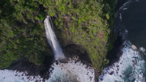 a waterfall cascading into the ocean along maui's lush north shore, aerial view