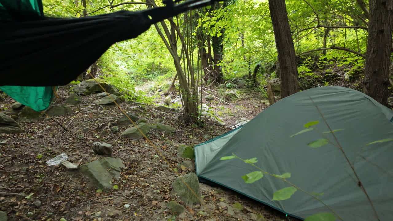 Forest camping scene with tents and hammock under leafy trees