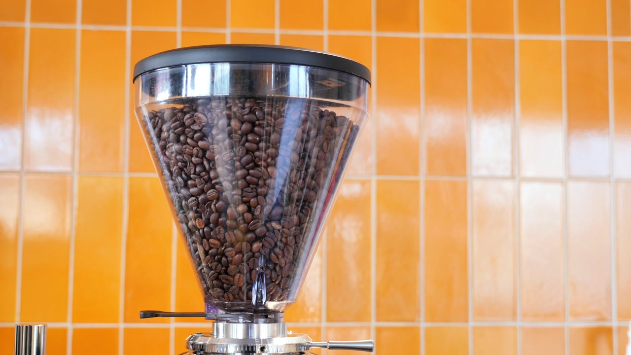 Fresh Roasted Coffee Beans in a Grinder Hopper