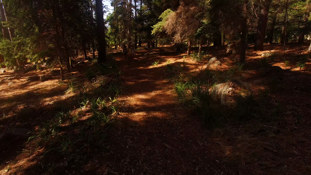 una pareja feliz haciendo senderismo en el bosque.