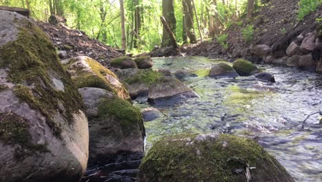 rusty creek at zelenogorsk, russia