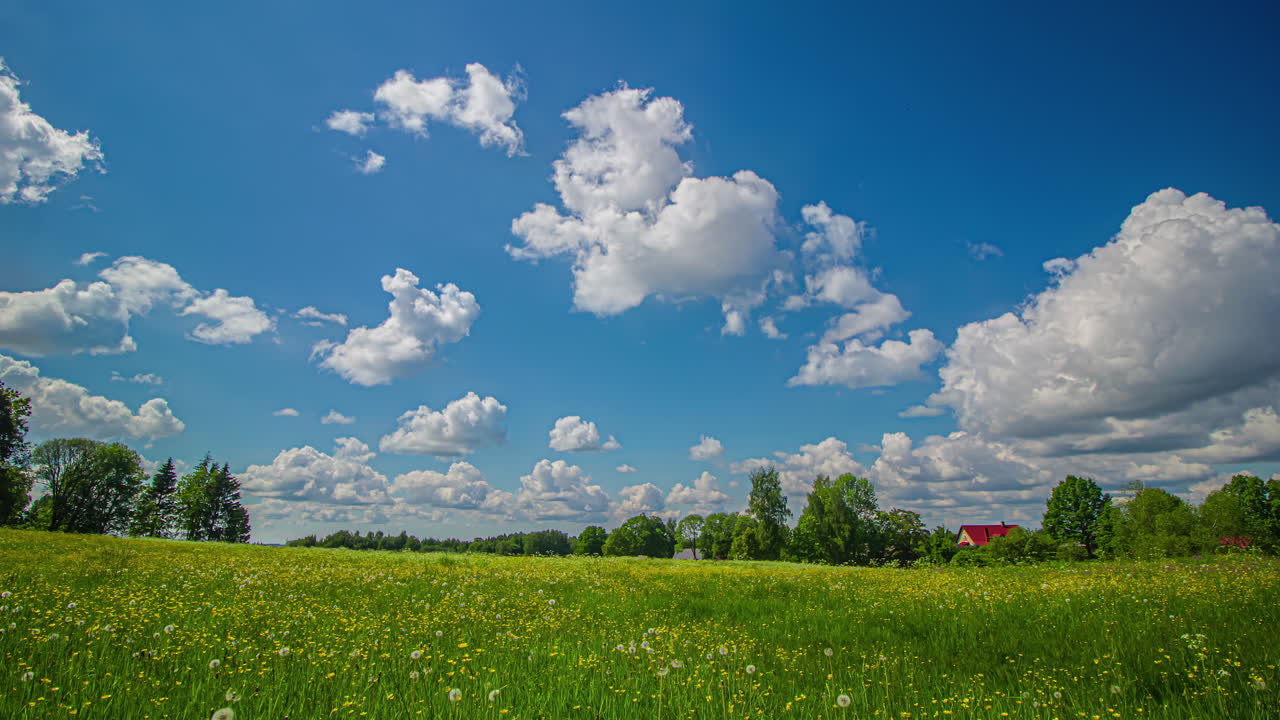저녁 시간 동안 배경에 태양이 지는 녹색 초원 위의 타임랩스에서 흰 구름 움직임의 낮은 각도 샷