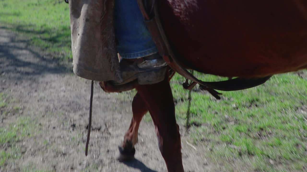 Concentrandosi sulle staffe, la telecamera si sposta verso il basso per rivelare il percorso del cavallo