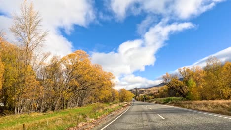 a serene drive along a tree-lined road in wanaka, new zealand, showcasing vibrant autumn colors under a bright blue sky