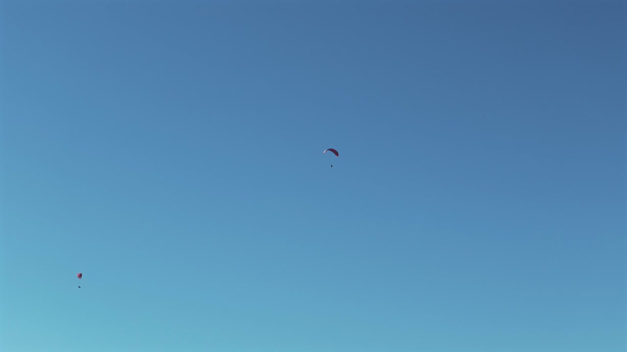 los parapentes flotan con gracia en el aire en un hermoso día con un cielo azul claro