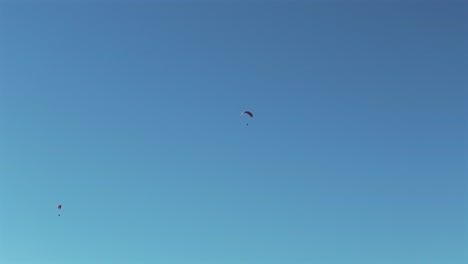 los parapentes flotan con gracia en el aire en un hermoso día con un cielo azul claro