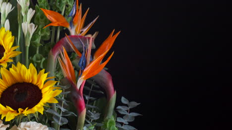 Paradise-flower-sunflower-lily-white-roses-detail-shot-panning-slider