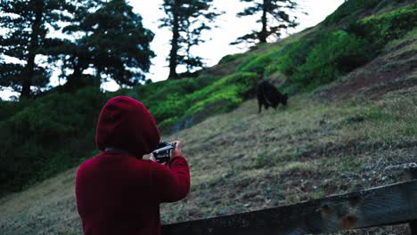 hooded figure outside farmland secure field capturing animal photograph