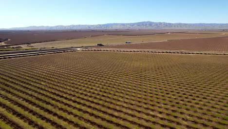 Valle-Del-Río-San-Joaquín-Con-Campos-De-Almendros-Debajo-Cerca-De-Modesto,-California