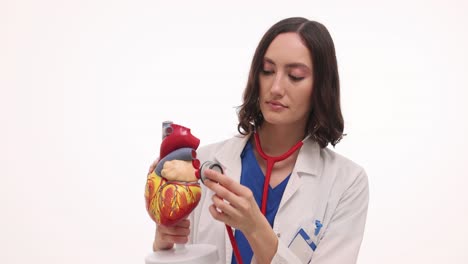female doctor examining human heart model with stethoscope
