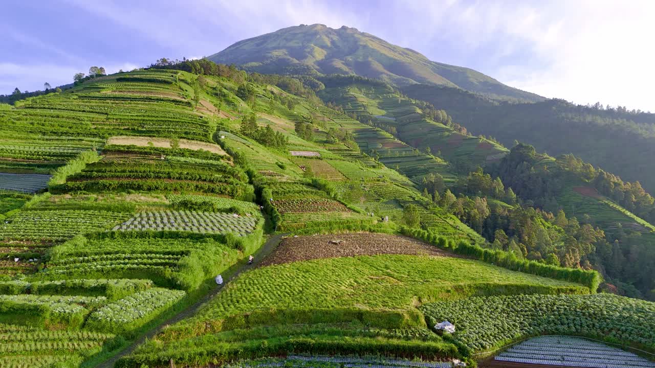 산의 경사 에 있는 아름다운 초록색 농장