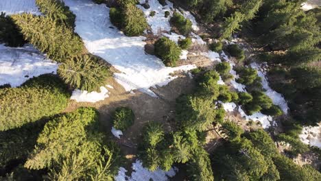 El-Toque-Del-Invierno-En-El-Suelo-Del-Bosque-Suizo---Vista-Aérea-Superior