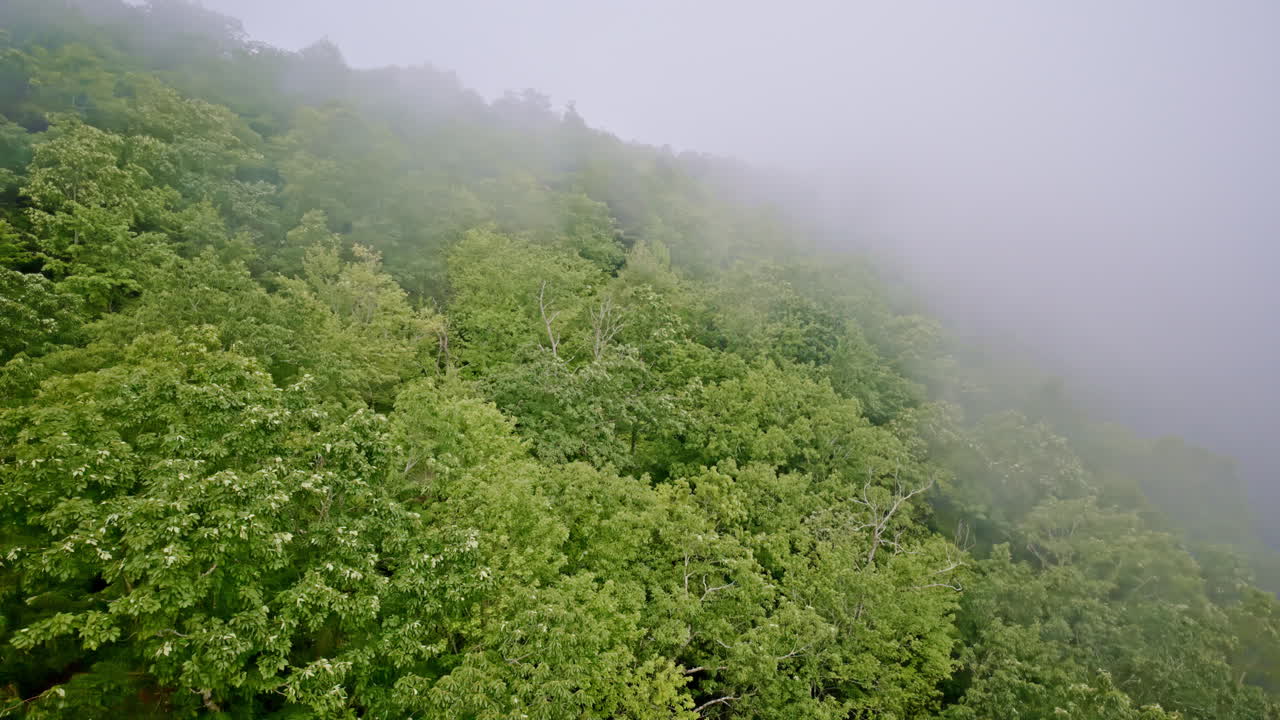 Drone gliding over fog wrapping mountain contours
