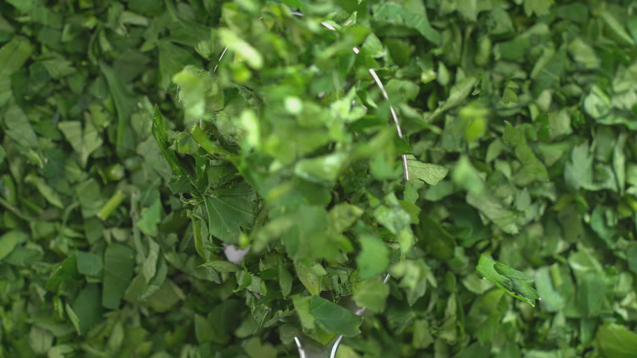 perejil picado en cuchara de plata en macro cayendo sobre las hierbas verdes - vista superior