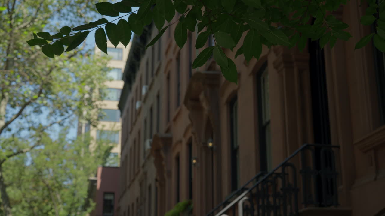 Una vista ravvicinata di foglie che incorniciano un edificio brownstone di Brooklyn, con messa a fuoco morbida sull'architettura dettagliata dell'edificio sotto la luce del sole estivo.