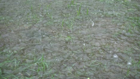 en la temporada de lluvias, el este de la india recibe fuertes lluvias durante la temporada de lluvias