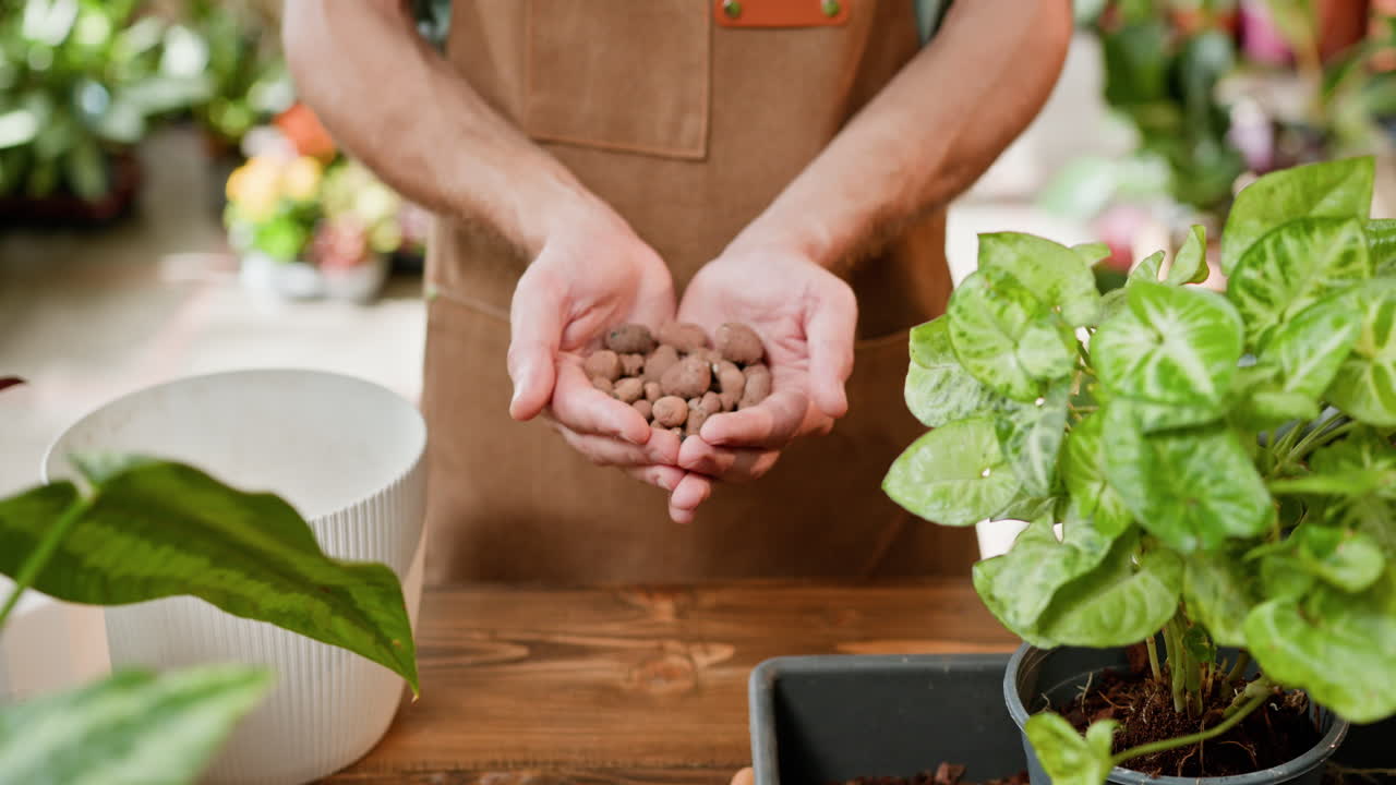 persona che possiede terreno per piante d'appartamento