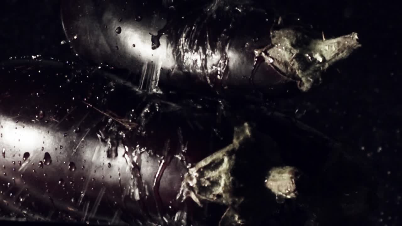 вода льется на два баклажана во время промывки овощей - крупный план