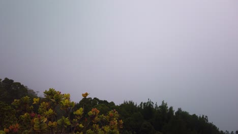 Toma-Panorámica-De-Cardán-De-Espesa-Niebla-Que-Cubre-Las-Montañas-De-Na-Pali-En-La-Cima-Del-Cañón-Waimea-En-La-Isla-Hawaiana-De-Kaua&#39;i