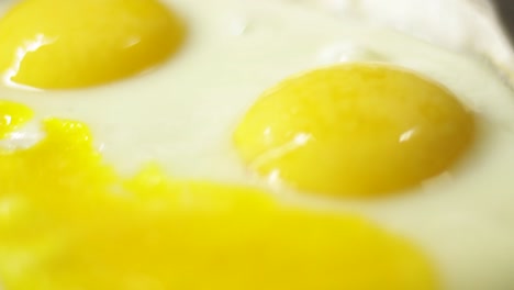 close up of eggs frying in frying pan