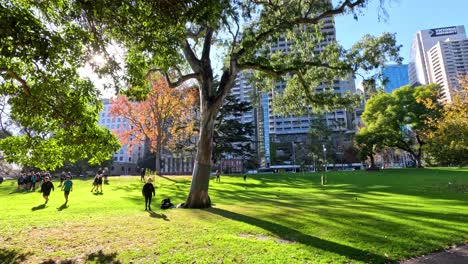 people walking and relaxing in flagstaff gardens