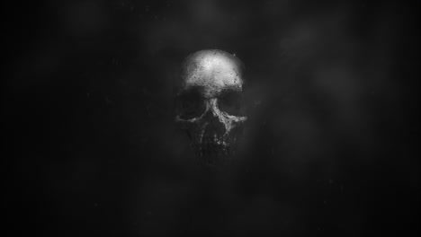 dark skull on mystical horror background abstract backdrop