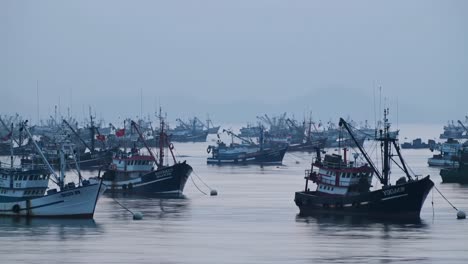 picturesque scene of fishing vessels docked calmly on serene water during early morning hours, showcasing a collection of boats and tranquil atmosphere
